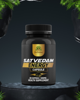 Satvedam Energy Capsule Mockup