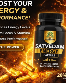 Satvedam Energy Capsule Mockup