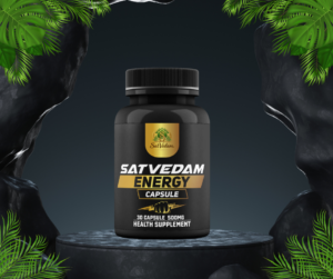 Satvedam Energy Capsule Mockup